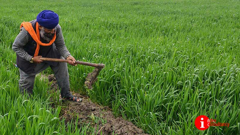 Automatio for farmer producer organization